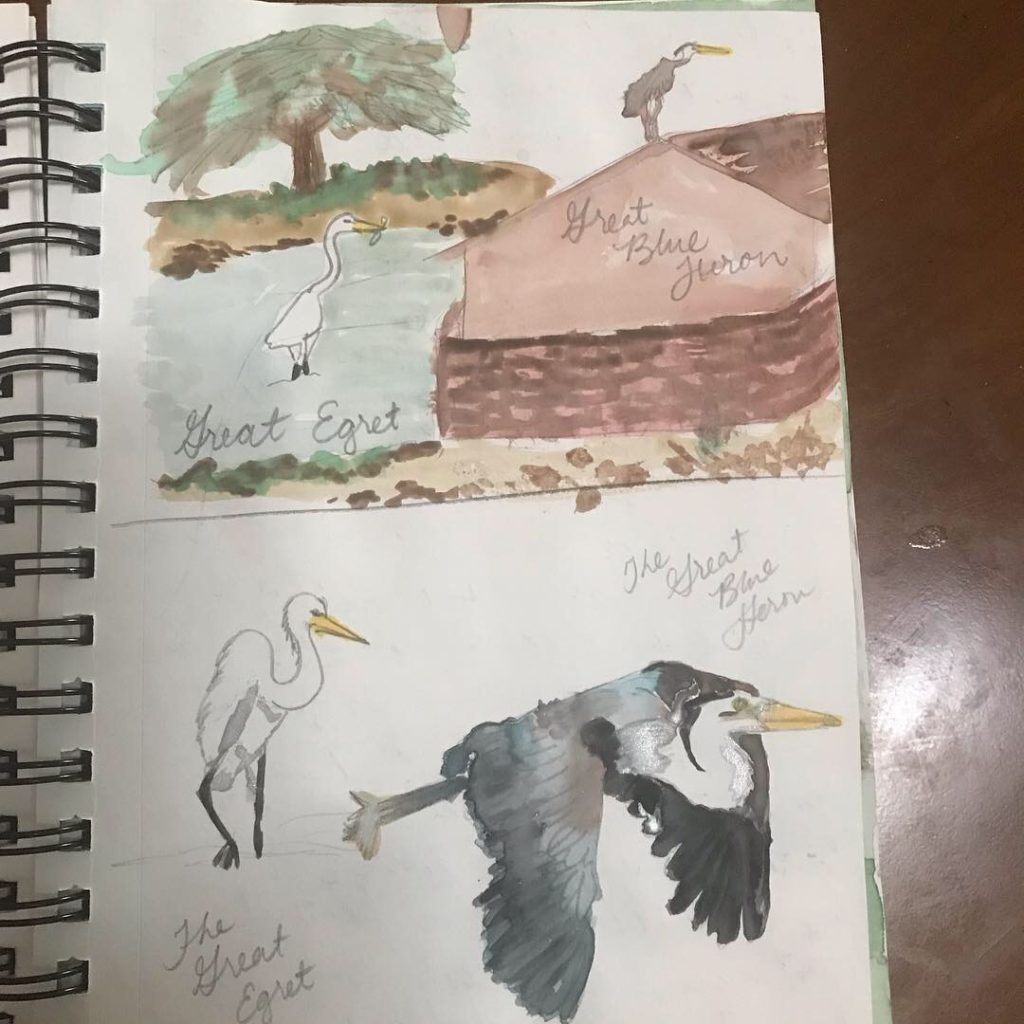 Great Blue Heron Nature Journal Entry