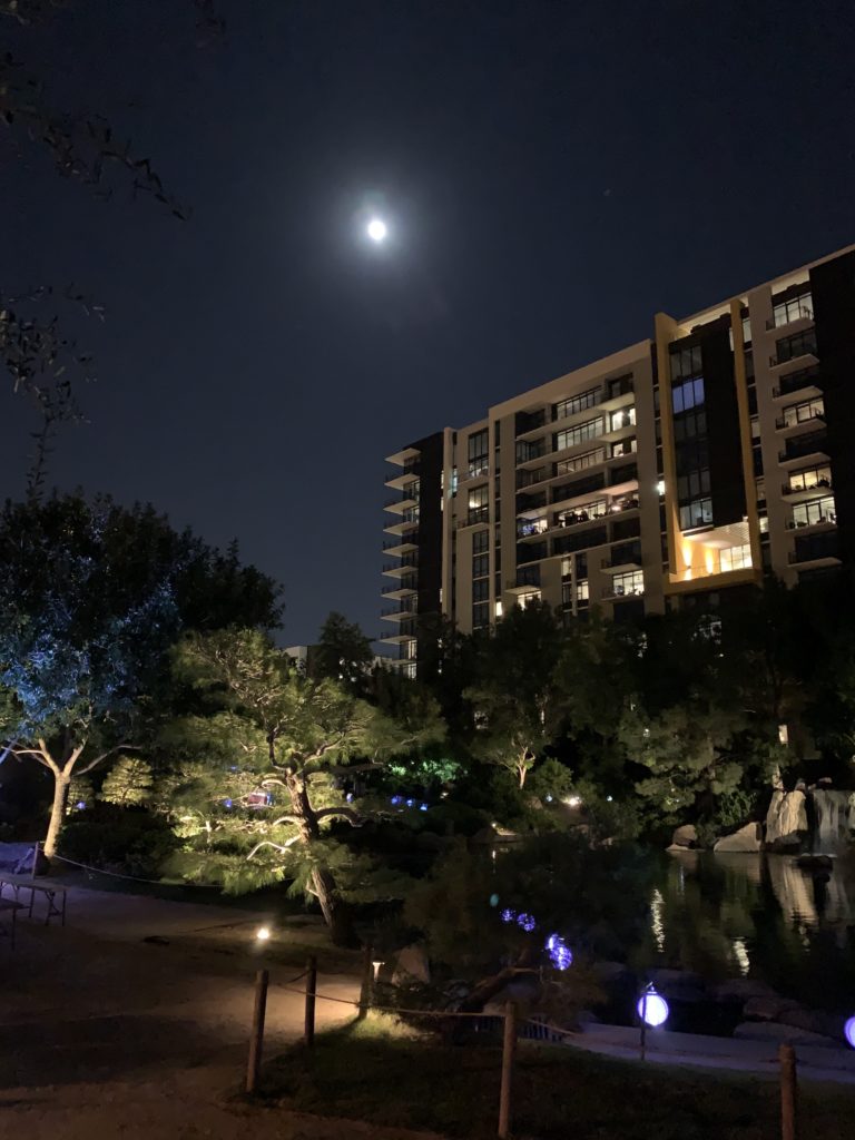 The big beautiful moon over the koi pond