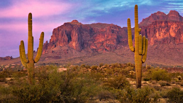 Book of the Trees Nature Outing: Cave Creek Botanical Gardens ...