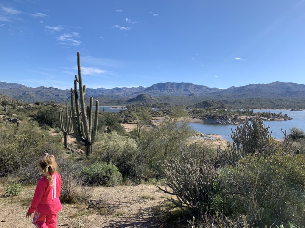 Homeschool field trip Scottsdale